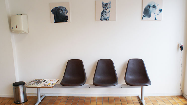 Wachtkamer dierenarts Limburg